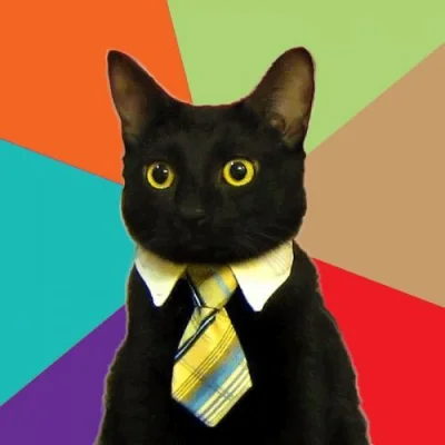 mk321 - @chaddeveloper: to już wiem skąd się wziął business cat
