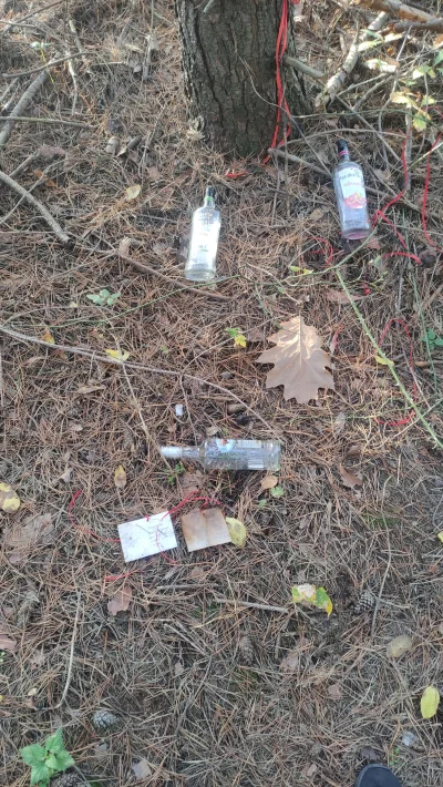 boroniowy - Znalazłem w lesie dwa liściki w towarzystwie trzech pustych butelek po wó...