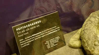 Asarhaddon - Widzieliście kiedyś Cipkozaura? Zdjęcie w komentarzach.

#paleontologia ...