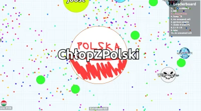 aczutuse - heheszki heheszkami, ale jak gram w agar.io to inni Polacy rzucają mi kulk...