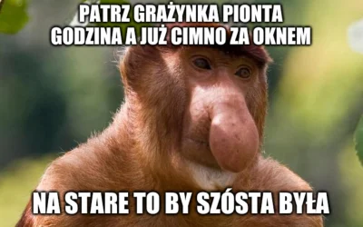 Masuo - #zmianaczasu #heheszki #humorobrazkowy