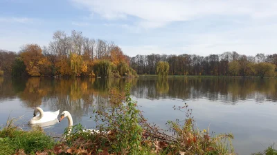 p.....k - Panowie ja już zajechany i nikt ze mną nie jechał? ʕ•ᴥ•ʔ

Wszystkie ostat...