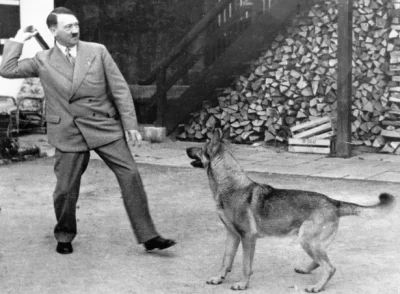 Sandrinia - Adolf Hitler bawił się z psem.
#ocieplaniewizerunkuadolfahitlera #psy