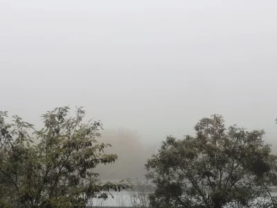 bartlomiej_rakowski - @Zoyav: o taka mgła zza okna przechowalni…
