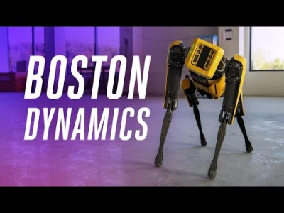 hahacz - @grett: Widac to nowa wersja psa z Boston Dynamics o nazwie Terminator Pit B...