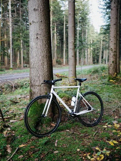 dmnm - Czy rower miejski może do lasu? #rower #gravel