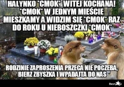 Dziki_Odyniec