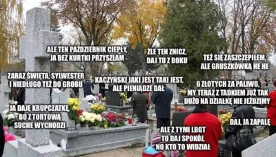 Dziki_Odyniec