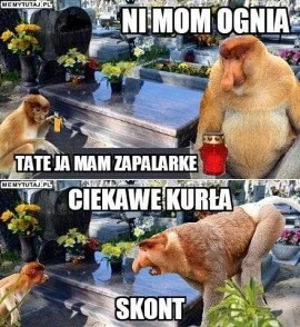 Dziki_Odyniec