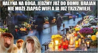 Dziki_Odyniec