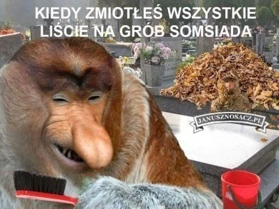 Dziki_Odyniec