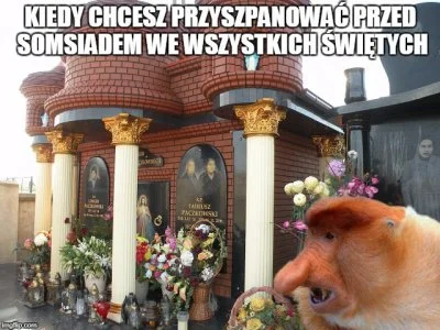 Dziki_Odyniec