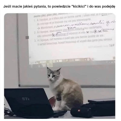 Marekexp - #heheszki #smiesznekotki #koty #kotki #humorobrazkowy