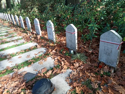 nO-C34 - Cmentarz w Arnhem Oosterbeek w Holandii. Każdy nagrobek polskiego żołnierza ...