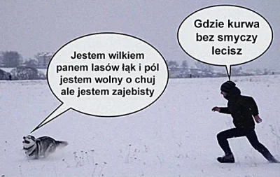 StaryWedrowiec - To chyba #porannypsiur na zimowym spacerze ( ͡° ͜ʖ ͡°)

#heheszki ...