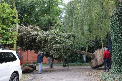 h.....k - @Kinkostfur: Po pierwsze nie mówię, że po zakończeniu robót będzie idealnie...