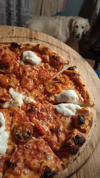 przodowyryl - Kolejna #pizza z #lidl #buffalo koszt coś kole 12-15zł, porcja akurat d...