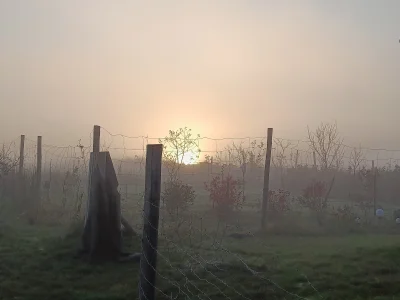 penkroff - Szef zapalił światło w kołchozie 
#przegryw