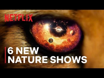 upflixpl - Netflix zapowiada sześć nowych produkcji przyrodniczych!

Netflix ogłosi...