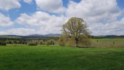 plantagenet - @kontoreset: jak bieszczady to dla mnie koniecznie spacer do beniowej. ...