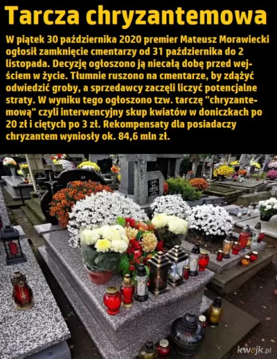 Oskar79PL - A pamiętacie interwencyjny skup chryzantem? Swoją drogą nie mogę nigdzie ...