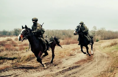 ArtBrut - #rosja #wojna #ukraina #polska #wojsko #bialorus

Polski patrol konny na gr...