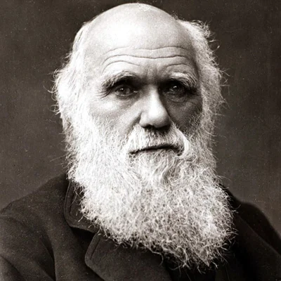 pink_avenger - "Ignorancja częściej rodzi pewność siebie niż wiedza"
Karol Darwin