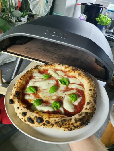 rafal366 - ( ͡° ͜ʖ ͡°)
#pizza