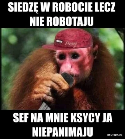ChwilowaPomaranczka - Nitka na memy z małpami Ukrainy. Kiedyś ten mem zebrał 900 plus...