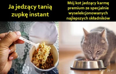 K.....k - Kociarze tacy są.
#koty #kot #humorobrazkowy #heheszki