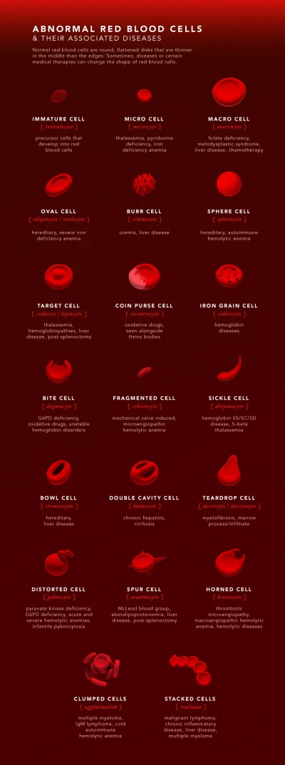 Lifelike - #graphsandmaps #nauka #medycyna #krew #ciekawostki #infografika