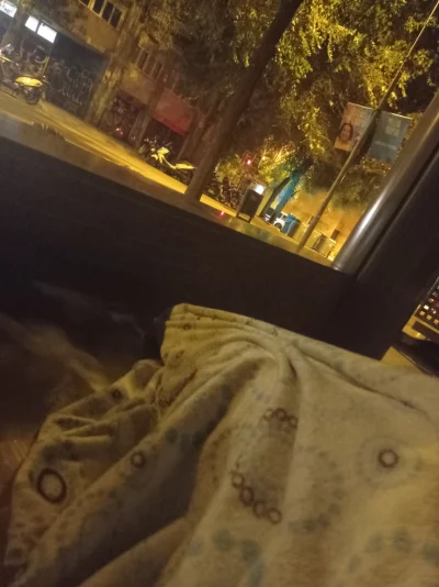 A.....s - @Cadfael: leżę jak śmieć, a oszczany recydywista w darmowym mieszkaniu.