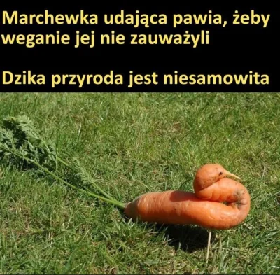 F.....x - #heheszki #humorobrazkowy #humor #dieta #gotujzwykopem