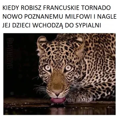 NewSadist - #heheszki #humorobrazkowy #memy