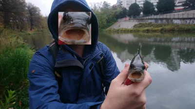 Carramba666 - Wczoraj na rybach ze zbanowanym kolegą.
Wielce zdziwiony. 29cm, po nim...