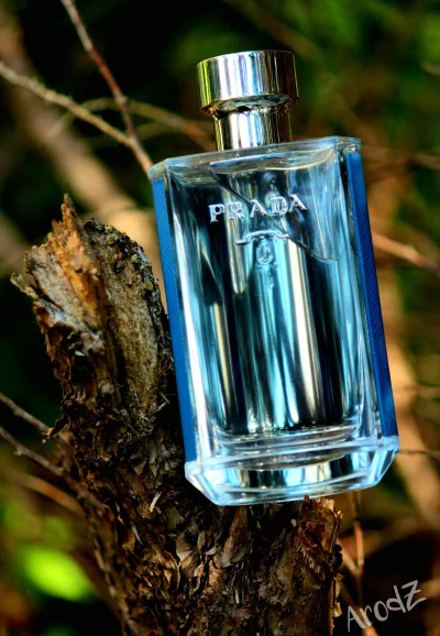 Hydrant667 - Kupię flakon Prada L'homme L'eau

#perfumy