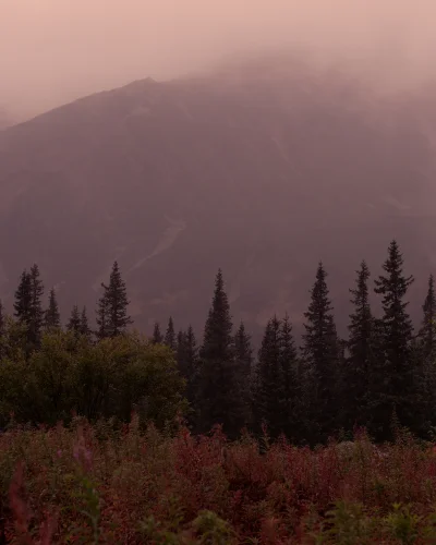 FieldsOfHope - Twin Peaksowy klimat gdzieś w okolicach Hali Gąsienicowej. 


#gory...