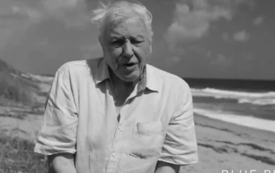 josedra52 - Sir David Attenborough niech żyje.

#przyroda #zwierzeta