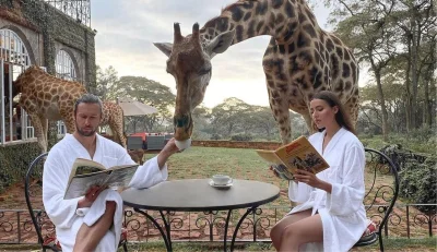 Incel_Teleron - Kogo w 2022 roku interesuje kilkunastu obrzydliwie bogatych dupków, b...