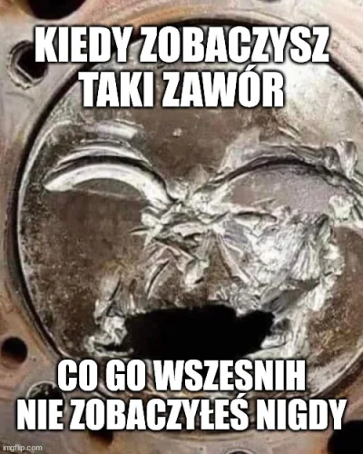 strusmig - #humorobrazkowy #heheszki #motoryzacja #samochody #mechanikasamochodowa