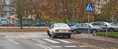 g.....n - Z treści i sposobu wypowiadania jasno wynika że chodzi o Samochodozę chyba ...