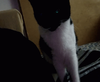 v.....k - @tbhilt 乁(♥ ʖ̯♥)ㄏ