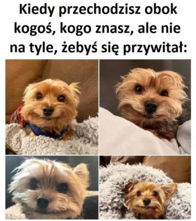 itaktegoniezapamietasz - Za każdym razem 
#feels #heheszki