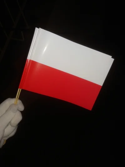 Zoyav - rozdawali flagi na ulicy i dostałam dwie (｡◕‿‿◕｡)

#chwalesie #11listopada ...
