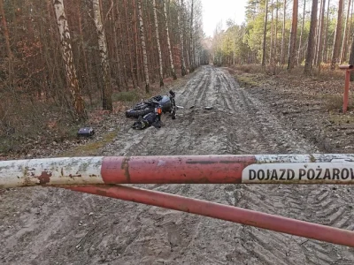 WarszawskiRozpylacz - Był już taki jeden. #!$%@?ł w lesie pod słońce, uderzył w szlab...