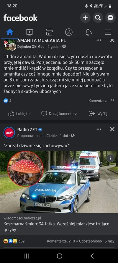 oddawaj_kasztana - Ja j---e ta grupa sympatyków jedzenia muchomora niekiedy gorzej ni...