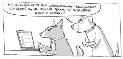 luxkms78 - #kotwworku #psiatransakcja #kot #worek #pies #internet