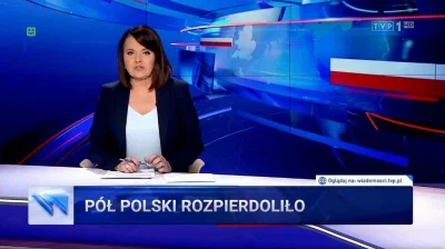 JakisGlupiKon - #11listooada #dzienniepodleglosci #polska