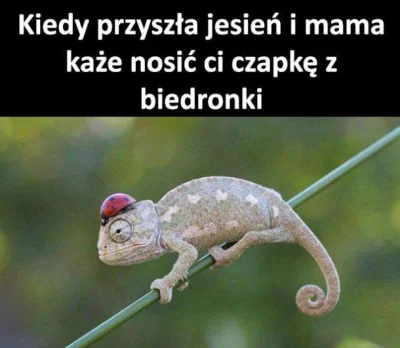 bezbeczki