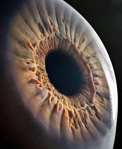jabadabadupka - Ludzkie oko (ʘ‿ʘ) 
Przepiękne 

#nauka #biologia #oko #okulista #oczy...
